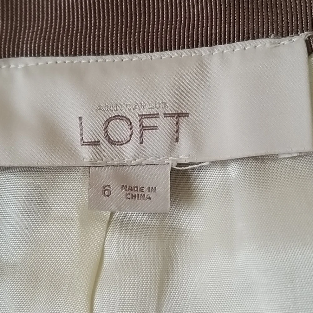 Ann Taylor LOFT Zebra Print Shift Skirt